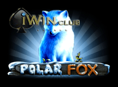 polar-fox.png