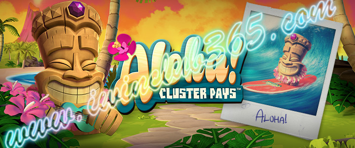 photo_2020-02-20_08-58-28