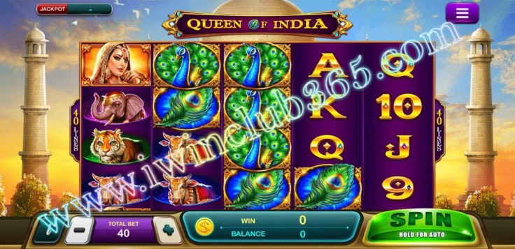 photo_2020-02-28_07-20-57