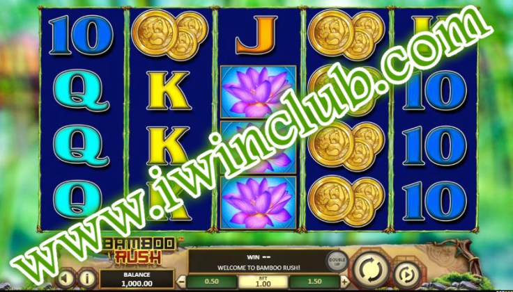 photo_2020-06-03_14-44-24