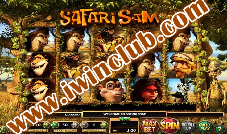 photo_2020-06-03_14-44-24