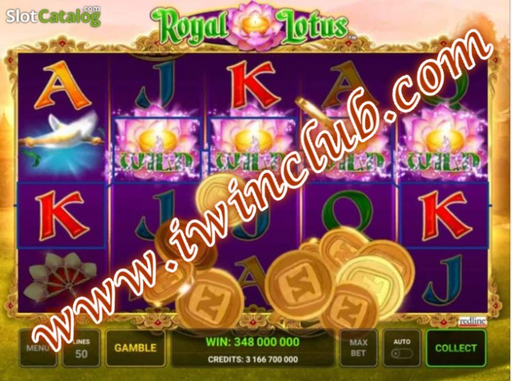 photo_2020-06-03_14-44-24_meitu_1