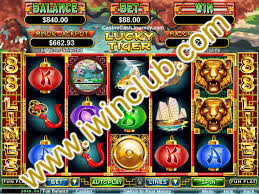 photo_2020-06-03_14-44-24_meitu_1