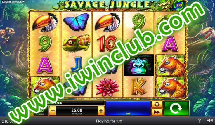 photo_2020-06-03_14-44-24_meitu_1